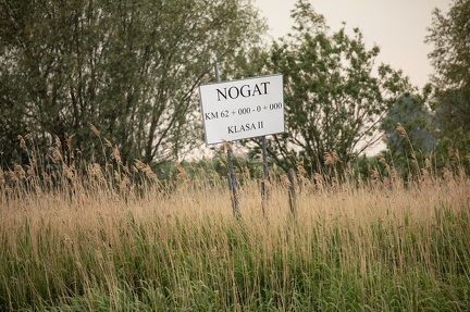 Nogat